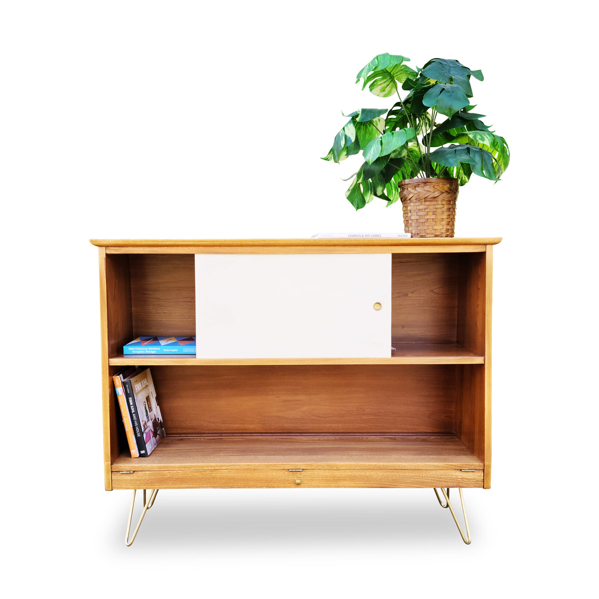 Elm Two Door Storage Cabinet