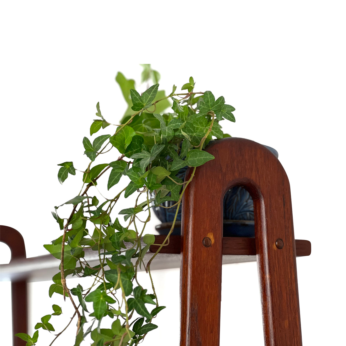 Teak Bookcase with Tambour Doors