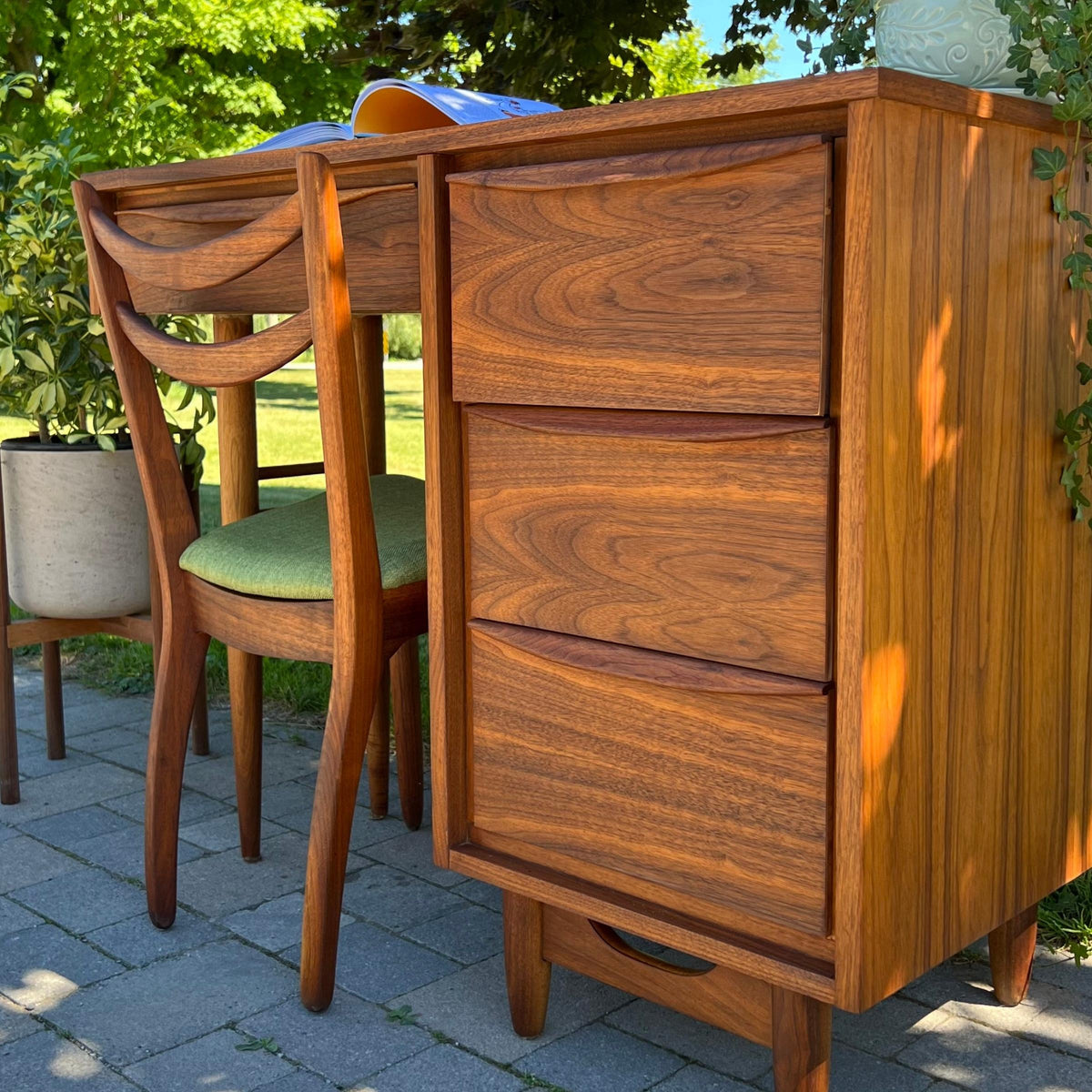 Walnut Dining Chairs by Honderich